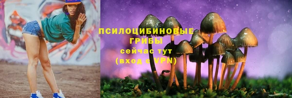 амф Липки