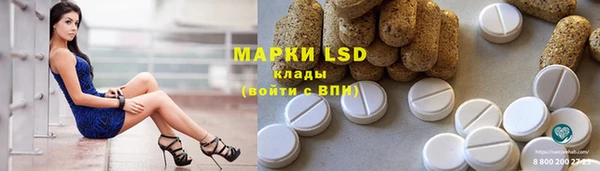 амф Липки