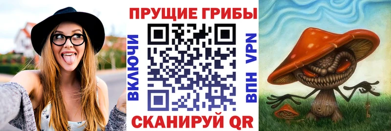 Галлюциногенные грибы мухоморы  Россошь 